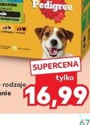 karma dla psów