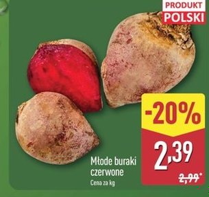 młode buraki czerwone