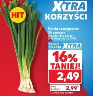 szczypiorek polski