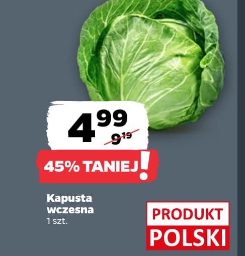 kapusta wczesna