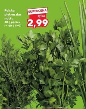 pietruszka natka