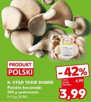 polskie boczniaki