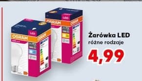 żarówka LED różne rodzaje