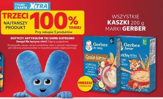 wszystkie kaszki