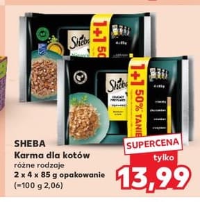 karma dla kotów różne rodzaje