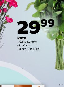 róża