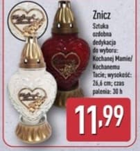 znicz ozdobny