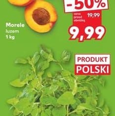 mięta
