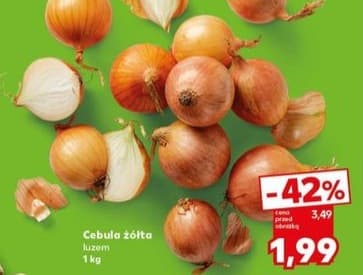 cebula żółta