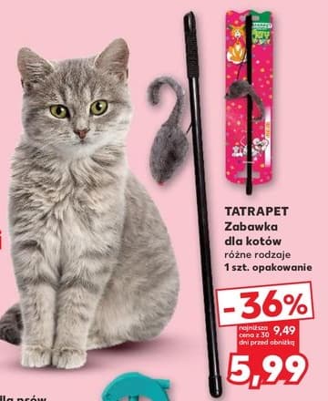 zabawka dla kotów różne rodzaje