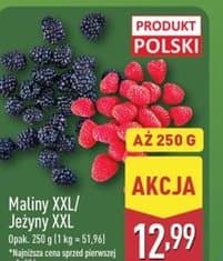 maliny XXL lub jeżyny XXL