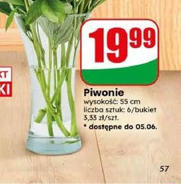 piwonie
