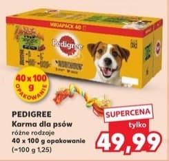 karma dla psów