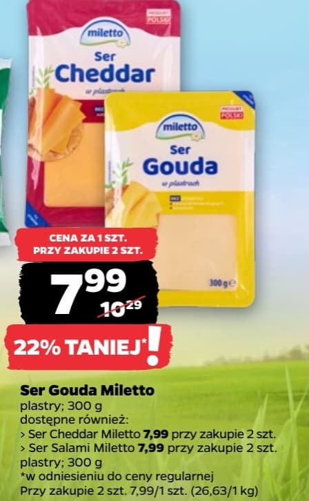 ser gouda plastry