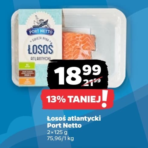 łosoś atlantycki
