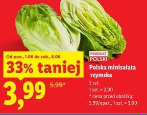 sałata rzymska mini