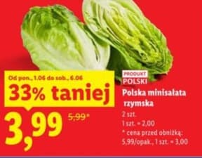 sałata rzymska mini