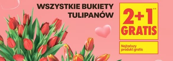 wszystkie bukiety tulipanów
