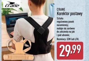 korektor postawy