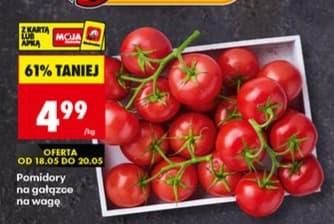 pomidory na gałązce