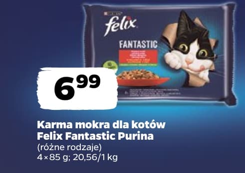 karma mokra dla kotów