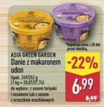 danie z makaronem udon