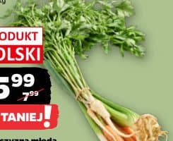 włoszczyzna młoda
