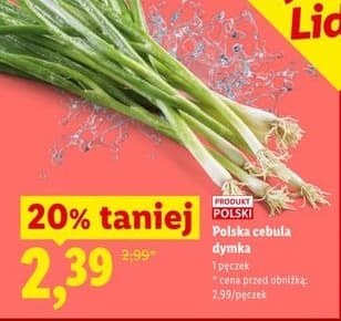 cebula dymka