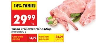 tusza królicza