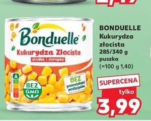 kukurydza konserwowa