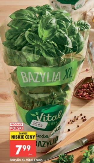 bazylia