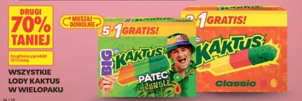 wszystkie lody w wielopaku