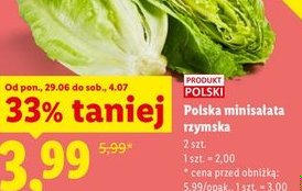 minisalatka rzymska