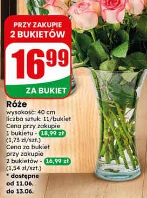 róża