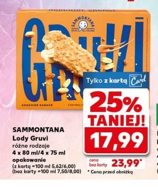 lody różne rodzaje