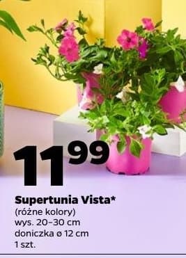 supertunia vista