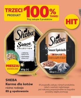 karma dla kotów