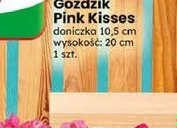 goździk Pink Kisses