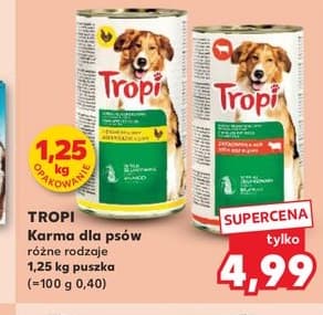 karma dla psów różne rodzaje