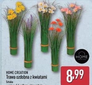 trawa ozdobna z kwiatami