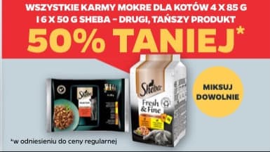 karma mokra dla kotów