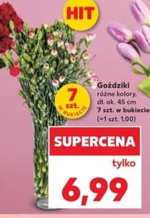 goździki