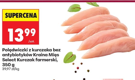 polędwiczki z kurczaka bez antybiotyków