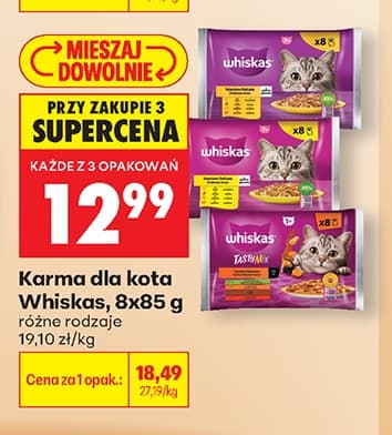 karma dla kota różne rodzaje