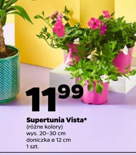 supertunia vista