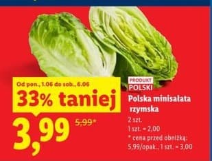 sałata rzymska