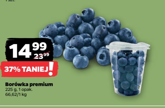 borówka premium