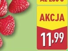 maliny polskie