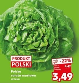 sałata masłowa