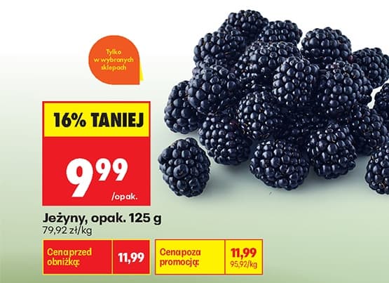 jeżyny